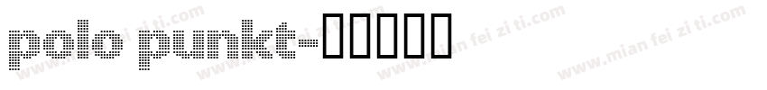 Polo Punkt字体转换